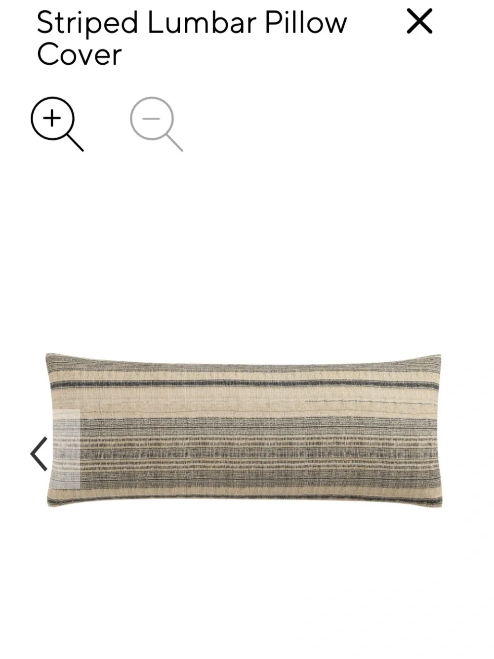Pottery Barn Neutral Striped Lumbar Pillow Cover in Natural and Black